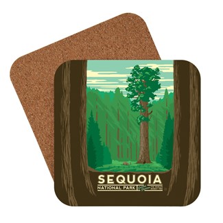 Sequoia Coaster
