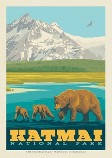 Katmai NP Mama Bear & Cubs Postcard