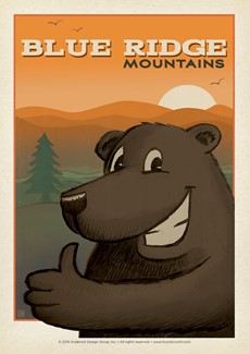 BRM Bear Thumbs Up Postcard