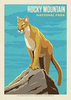 Rocky Mountain NP Cougar Postcard