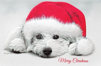 Puppy Love | Dog lover boxed Christmas cards