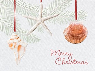 Ocean Ornaments | Embossed seashell greeting cards