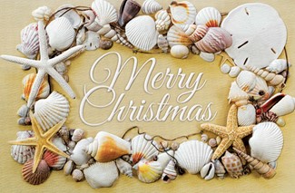 Seashell Christmas | Made in the USA