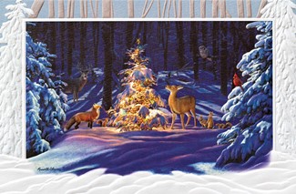 Woodland Wonder | Inspirational boxed Christmas cards