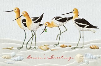 Joyful Avocets | Made in the USA