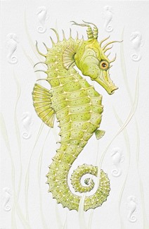 Seahorse | Sealife embossed greeting cards