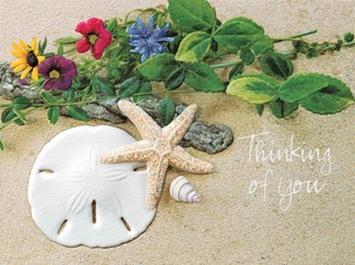 Ebb Tide | Friendship note cards