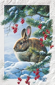 Winter Solace | Wildlife themed boxed Christmas cards