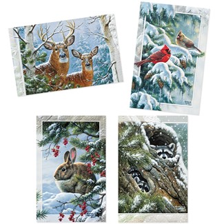 Backyard Visitors | Bird & Snowman themed boxed Christmas cards, Made in the USA