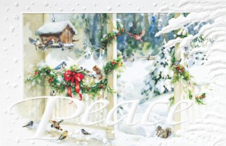 Back Porch Feeder | Bird themed boxed Christmas cards
