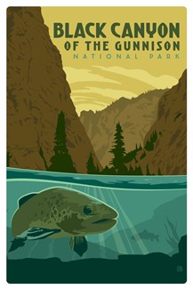 Black Canyon of the Gunnison Trout Magnetic Postcard | Made in the USA