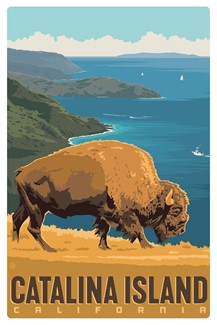 Catalina Island Bison Conservancy Magnetic PC | Made in the USA