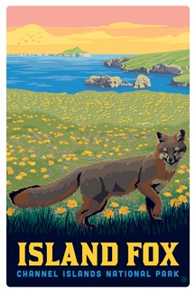 Channel Islands NP Island Fox Magnetic PC | Made in the USA