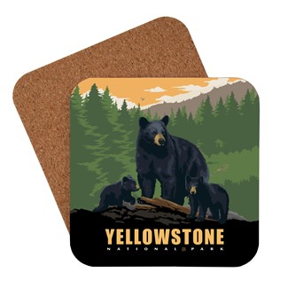 Yellowstone National Park Black Bear Family Coaster | USA Made