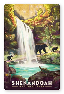 Shenandoah Waterfall Magnetic Postcard