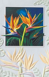 Birds of Paradise | Blank greeting cards