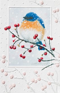 Flurried | Bird themed boxed Christmas cards