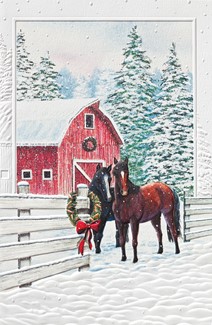 Curious Couple | Scenic boxed Christmas cards