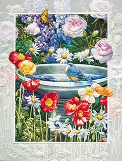 Garden Reflections | American made boxed notes