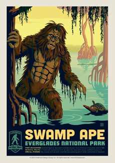 Everglade's Swamp Ape Postcard