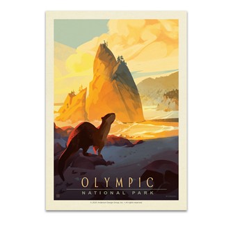 Olympic NP Sea Otter Postcard