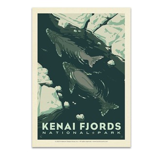 Kenai Fjords NP Whale Watching Postcard
