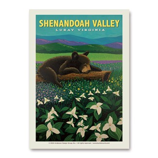 Shenandoah Valley Luray Sleeping Bear Vert Sticker