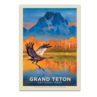 Grand Teton NP Sand Hill Crane Postcard | USA Made