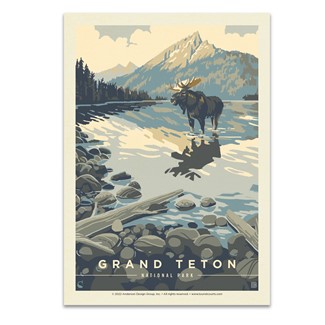 Grand Teton NP Meandering Moose Postcard | USA Made