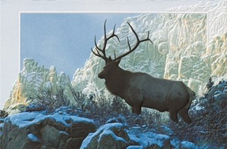 Top of the World - BLANK | Made in the USA