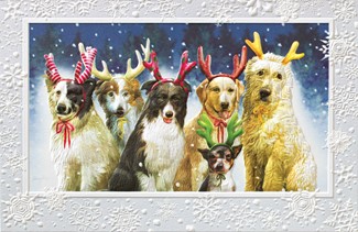 Reindeer Games |Dogs boxed Christmas cards