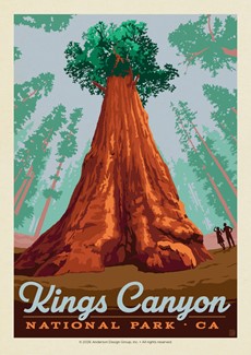 Kings Canyon NP General Grant Postcard| Postcards