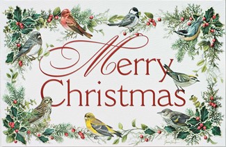 Christmas Carolers | Scenic themed boxed Christmas cards