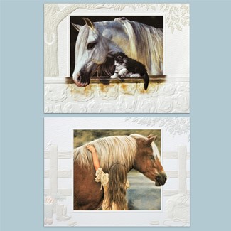 Horses | Horse boxed note cards