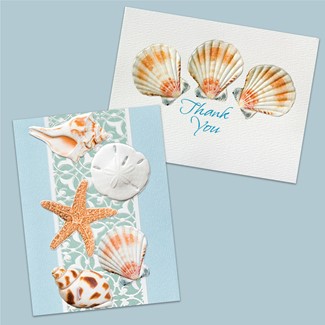 Sea Shells | coastal boxed note cards