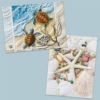 Turtles & Shells| coastal boxed note cards