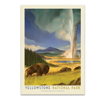 Yellowstone NP Wonderland Postcard| Postcard