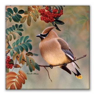Cedar Waxwing Square Magnet| American Made