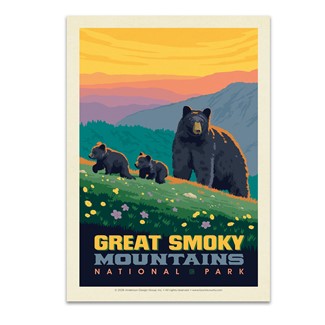 Great Smoky Mountains NP Romping Cubs| Postcards