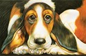 Basset Hound (PS)