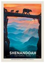 Shenandoah Bear Crossing Postcard