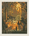 Congaree National Park Daybreak 8" x 10" Print