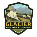 Glacier National Park Goats in the Valley Emblem Magnet