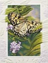 Rice Paper Butterfly - BLANK