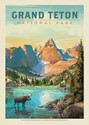 Grand Teton National Park Moose Postcard