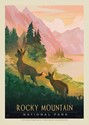 Rocky Mountain National Park Deer Postcard