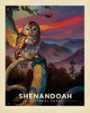 Shenandoah Barred Owl 8"x10" Print