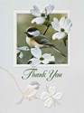 Springtime Chickadee