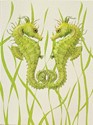 Seahorse Duo