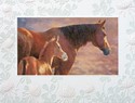 New Dawn Blank Note Cards - 18 Count